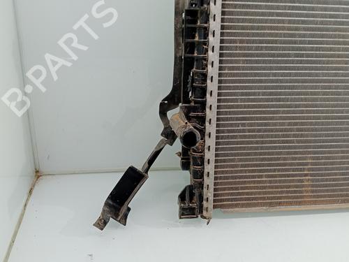 Water radiator MAN TGE Van  | BP29717309M31 