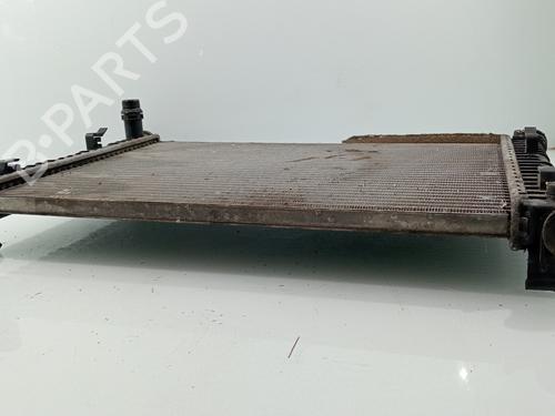Water radiator FORD FIESTA V (JH_, JD_)  | BP29539381M31 