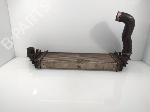 Intercooler MERCEDES-BENZ M-CLASS (W164)  | BP13528410M30 