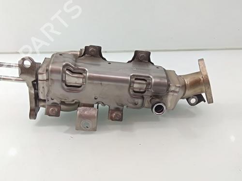 Egr HONDA CR-V III (RE_)  | BP17811534M69 