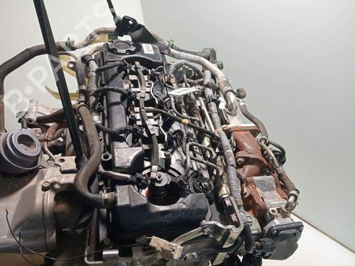 Engine NISSAN NT400 CABSTAR (F24M) 28.12, 32.12, 35.12 (F91AN, F24M) | BP40037322M1 - Image 12