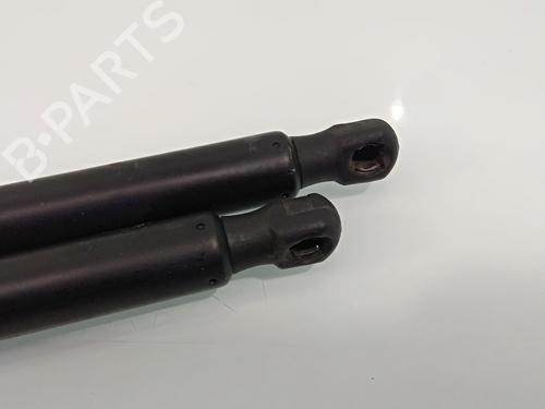 Tailgate lift support FORD KUGA I  | BP16049730C138 
