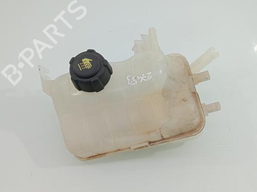 Used Expansion tank RENAULT MEGANE III Hatchback (BZ0/1_, B3_) 1.2 TCe (BZ2B, BZ11) (116 hp) 24849657