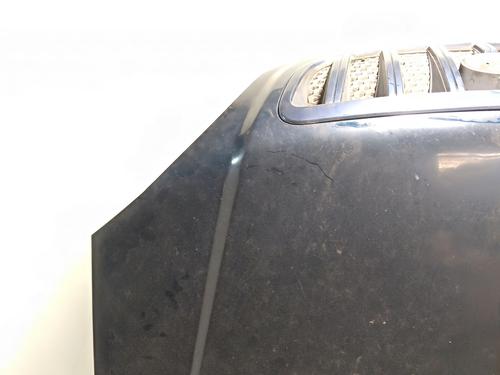 Hood HYUNDAI TERRACAN (HP)  | BP21142486C1 