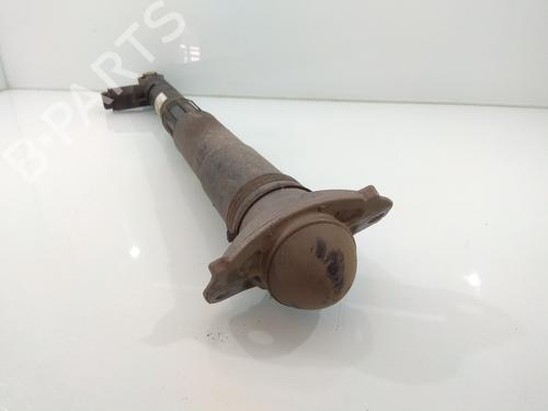 Right rear shock absorber SEAT LEON (5F1)  | BP24333856M19 