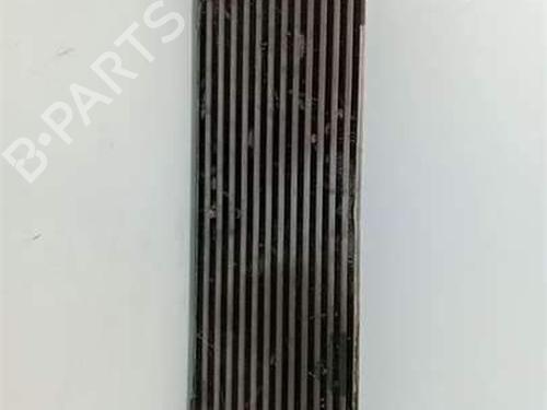 Intercooler NISSAN PRIMASTAR Platform/Chassis (X83) 2.5 dCi 140 | BP38522289M30 - Image 2