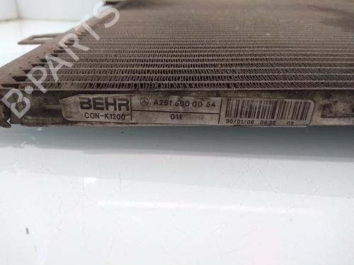 AC radiator MERCEDES-BENZ M-CLASS (W164) | BP13528409M32