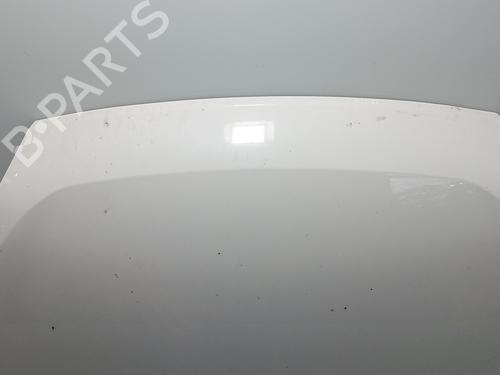 Hood FIAT DOBLO Cargo (263_)  | BP29548864C1 