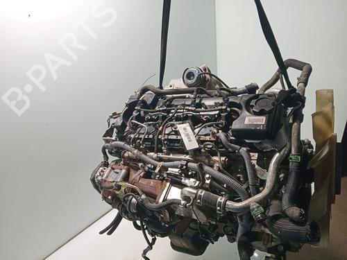 Used Engine Engine NISSAN NT400 CABSTAR (F24M) 28.12, 32.12, 35.12 (F91AN, F24M) (122 hp) 40037322 40037322
