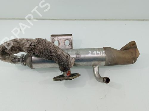 Used Egr FORD TRANSIT CONNECT (P65_, P70_, P80_) [2002-2026]  31646537