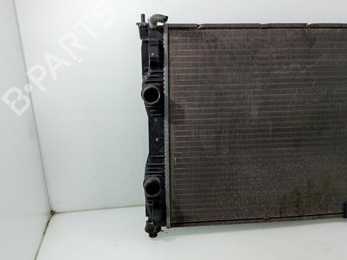 Water radiator NISSAN QASHQAI I (J10, NJ10) | BP30703563M31