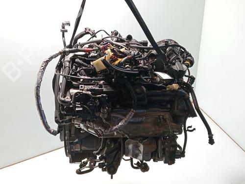 Engine BMW 1 (F21)  | BP30601839M1  - Image 5