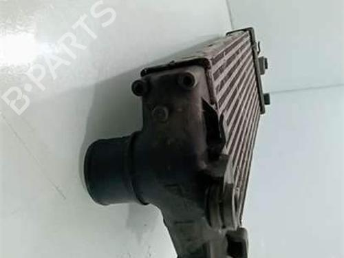 Intercooler NISSAN PRIMASTAR Platform/Chassis (X83) 2.5 dCi 140 | BP38522289M30 - Image 6