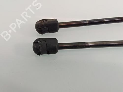 Tailgate lift support FORD KUGA I  | BP16049730C138 