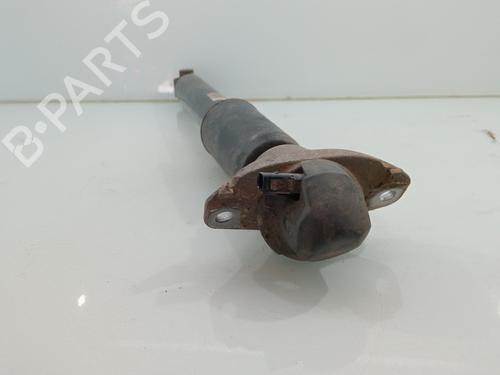 Right rear shock absorber AUDI E-TRON (GEN)  | BP29536717M19 