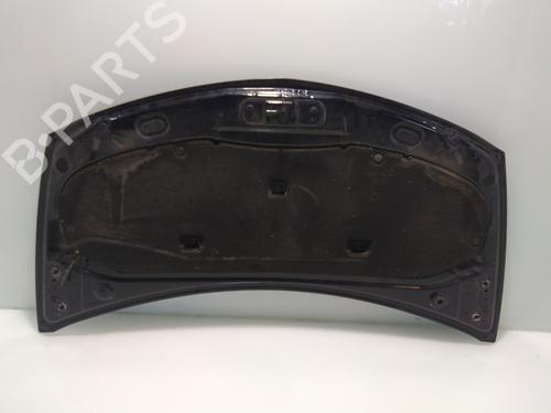 Hood RENAULT CLIO III (BR0/1, CR0/1)  | BP13530853C1 