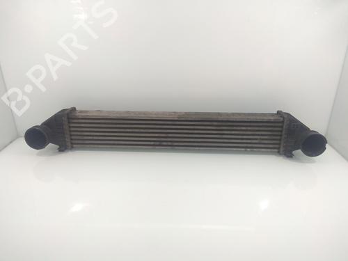 Used Intercooler MERCEDES-BENZ A-CLASS (W169) A 180 CDI (169.007, 169.307) (109 hp) 10147493