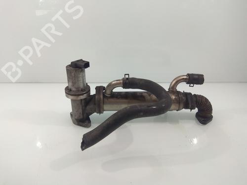 Egr HYUNDAI SANTA FÉ II (CM)  | BP14217470M69 