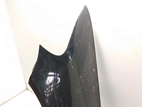 Left front fenders VW TOUAREG (7LA, 7L6, 7L7)  | BP21045314C41 