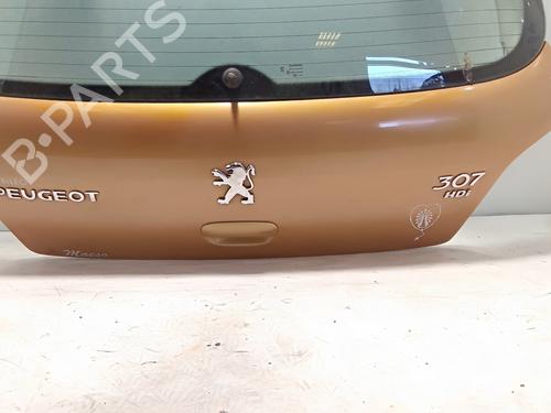 Tailgate PEUGEOT 307 (3A/C)  | BP17626211C6 