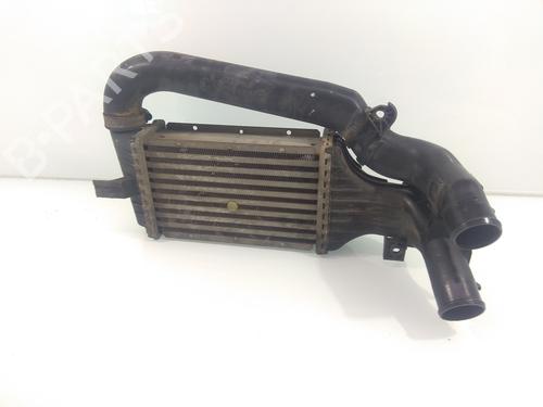 Used Intercooler OPEL ZAFIRA A MPV (T98) [1999-2006]  10118089