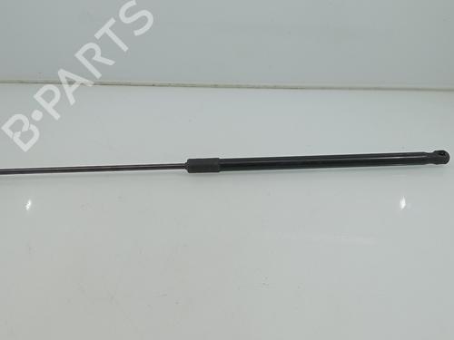 Hood lift support AUDI E-TRON (GEN)  | BP29536825C139 