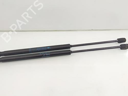 Used Tailgate lift support CITROËN C3 I (FC_, FN_) [2002-2013]  19545817