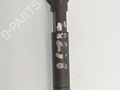 Injector FORD TRANSIT CONNECT (P65_, P70_, P80_)  | BP19096096M100 