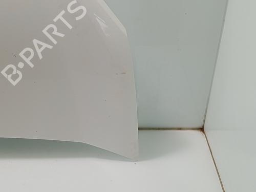 Hood FIAT DOBLO Cargo (263_)  | BP29548864C1 