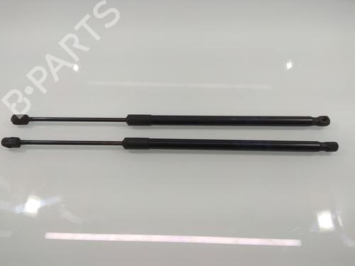 Tailgate lift support FIAT 500L (351_, 352_) 1.4 (199LYB1B) | BP14216655C138 