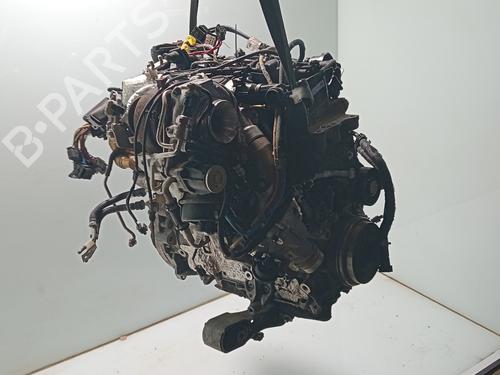 Engine BMW 1 (F40) | BP33216164M1 - Image 5