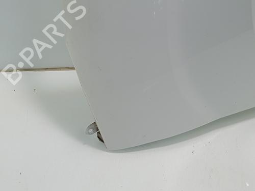 Right front fenders FIAT DOBLO Cargo (263_)  | BP29548862C42 