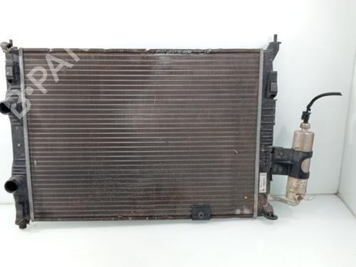 Used Water radiator NISSAN QASHQAI I (J10, NJ10) [2006-2015]  30703563