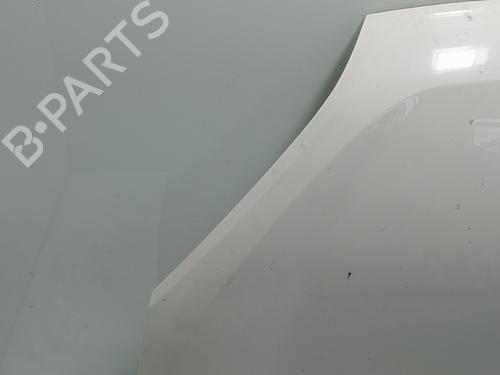Hood FIAT DOBLO Cargo (263_)  | BP29548864C1 