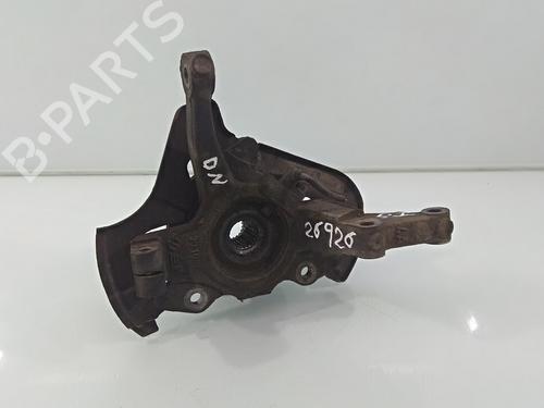 Left front steering knuckle FIAT PANDA (169_)  | BP18469900M25 