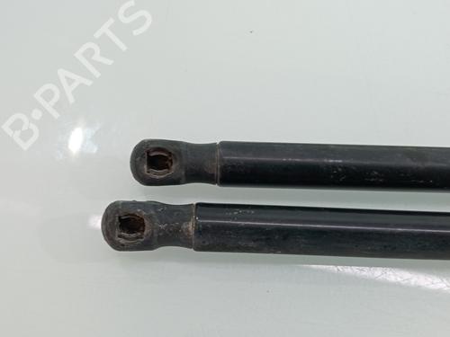 Tailgate lift support VW POLO V (6R1, 6C1)  | BP25052329C138 