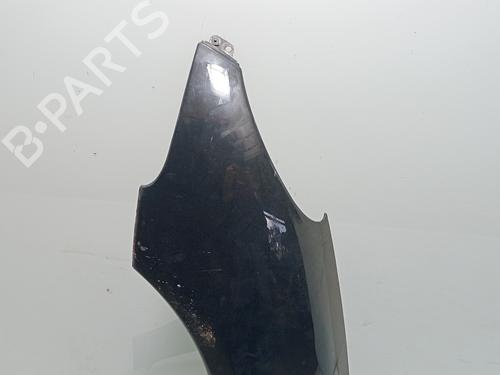 Left front fenders PEUGEOT 206 Hatchback (2A/C) | BP32216213C41