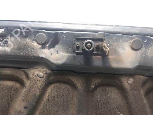 Panser SSANGYONG KORANDO (KJ) 2.9 TD | BP13529533C1 