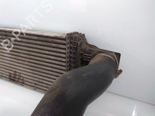 Intercooler MERCEDES-BENZ M-CLASS (W164)  | BP13528410M30 