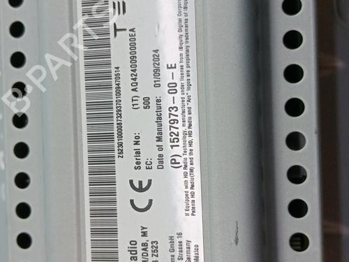 Elektronische module TESLA MODEL Y (5YJY)  | BP29194615M83 