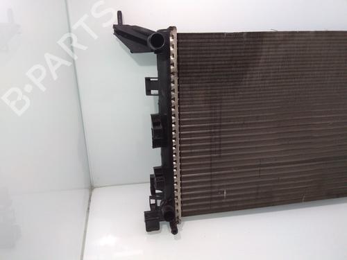 Water radiator RENAULT LAGUNA III (BT0/1)  | BP11423568M31 