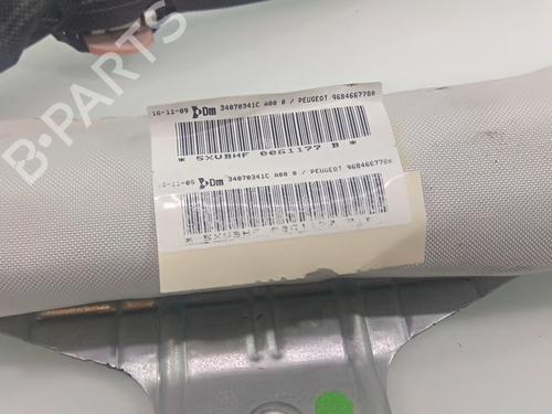 Other PEUGEOT 3008 I MPV (0U_) 1.6 HDi | BP19405835O1 