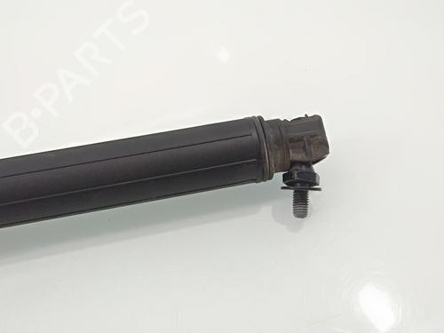 Gassdemper Bakluke VW TIGUAN (AD1, AX1) 2.0 TDI 4motion | BP23132579C138 
