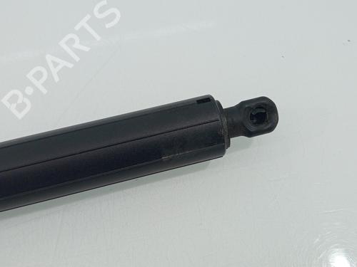 Tailgate lift support TESLA MODEL Y (5YJY)  | BP29194581C138 