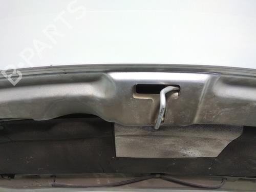 Hood CITROËN C3 I (FC_, FN_)  | BP11762670C1 