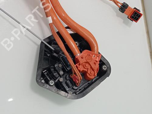 Cable TESLA MODEL Y (5YJY) | BP29194584E12