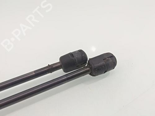 Tailgate lift support FORD FIESTA VI (CB1, CCN) 1.4 TDCi | BP22563117C138 