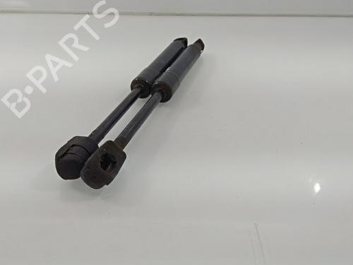 Hood lift support RENAULT SCÉNIC III (JZ0/1_)  | BP18026968C139 