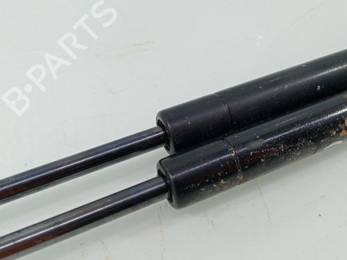 Tailgate lift support PEUGEOT 206 Hatchback (2A/C) | BP30205633C138