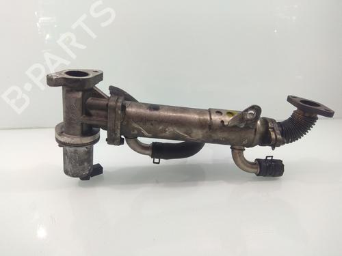 Egr HYUNDAI SANTA FÉ II (CM)  | BP14217470M69 